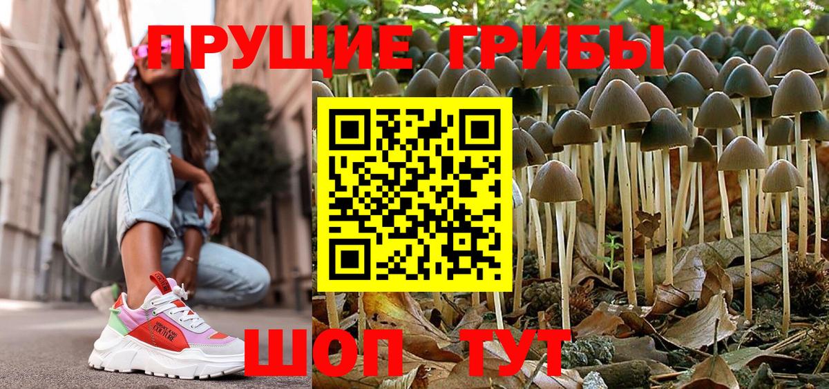 Псилоцибиновые грибы Cubensis  Вход с VPN  Галлюциногенные грибы GOLDEN TEACHER  Новоалександровск 