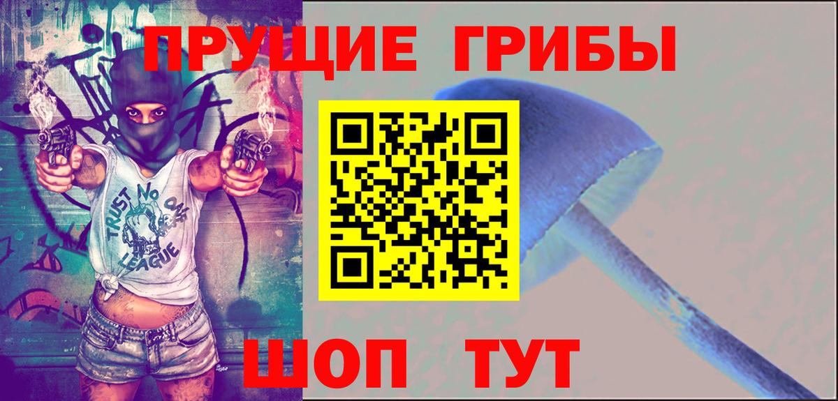 Псилоцибиновые грибы мицелий Новоалександровск