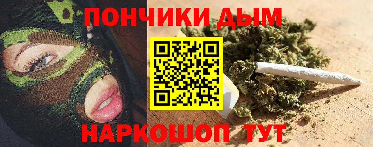 Бошки марихуана SATIVA & INDICA Новоалександровск